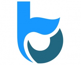 L'application de paiement bonsai cessera d’exister