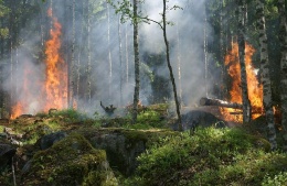 Un incendie de forêt en vacances